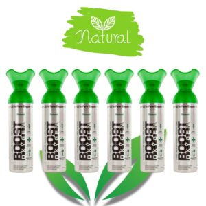 Boost zuurstof 6 x 9 liter naturel